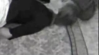 শার্লট সার্ত্রে স্তন্যপান ভালবাসে কিন্তু হট সেক্স ভিডিও ডাউনলোড উচ্চ পেতে না.