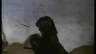 রেডহেড হট মম সেক্স ভিডিও মিন ই